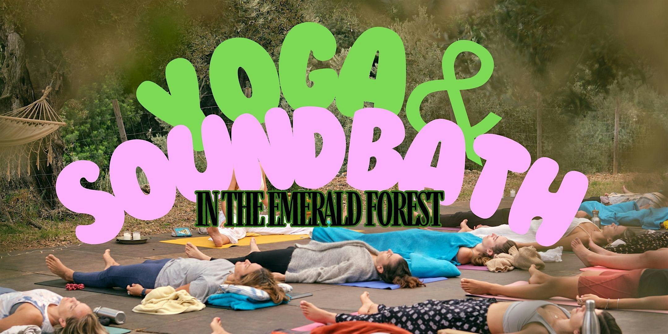 Participants engaging in a yoga and sound bath session, deeply immersed in the tranquility of the forest.